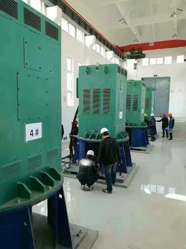 宜昌某污水处理厂使用我厂的立式高压电机安装现场