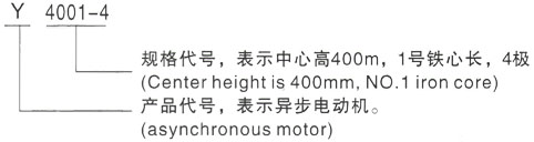 西安泰富西玛Y系列(H355-1000)高压宜昌三相异步电机型号说明